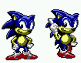 Sonic's Two Standing Poses